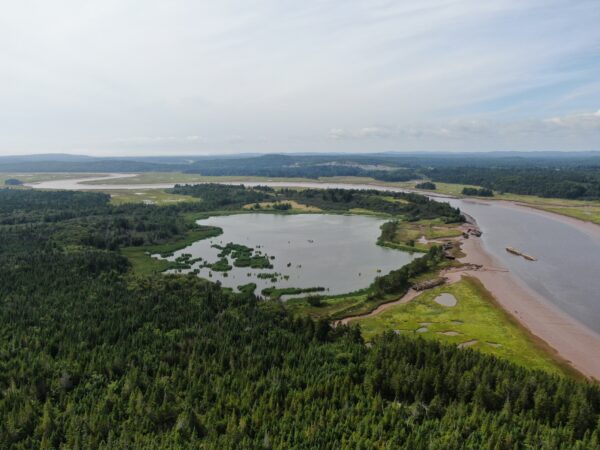 https://canadaoceanmap.ca/wp-content/uploads/2025/03/35810134-The_Estuary-600x450.jpg