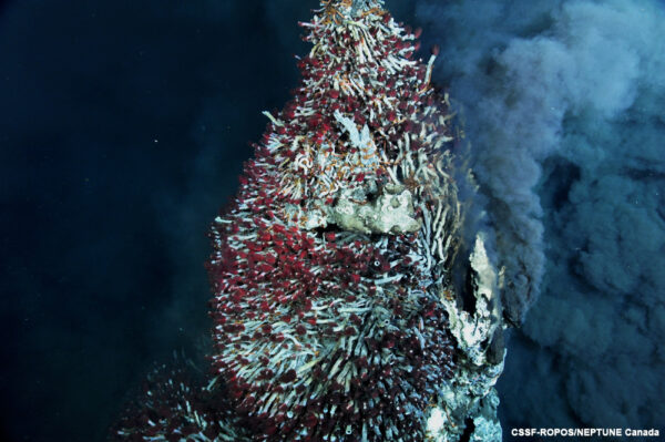 https://canadaoceanmap.ca/wp-content/uploads/2025/03/6881919606_3fb8e487fc_o-600x399.jpg