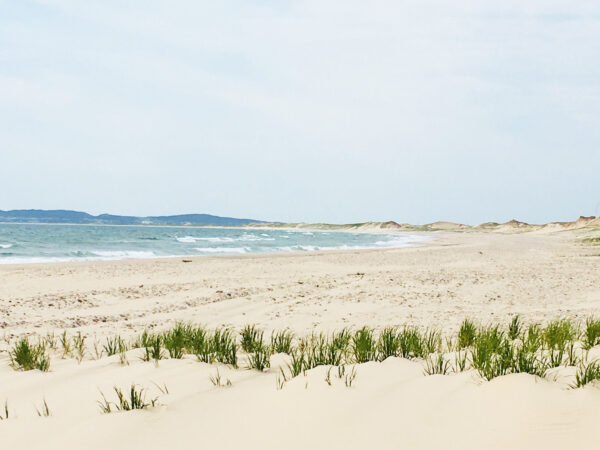 https://canadaoceanmap.ca/wp-content/uploads/2025/06/Magdalen-Islands-Lagoons-33226648-Iles_de_la_Madeleine_Beach-600x450.jpeg